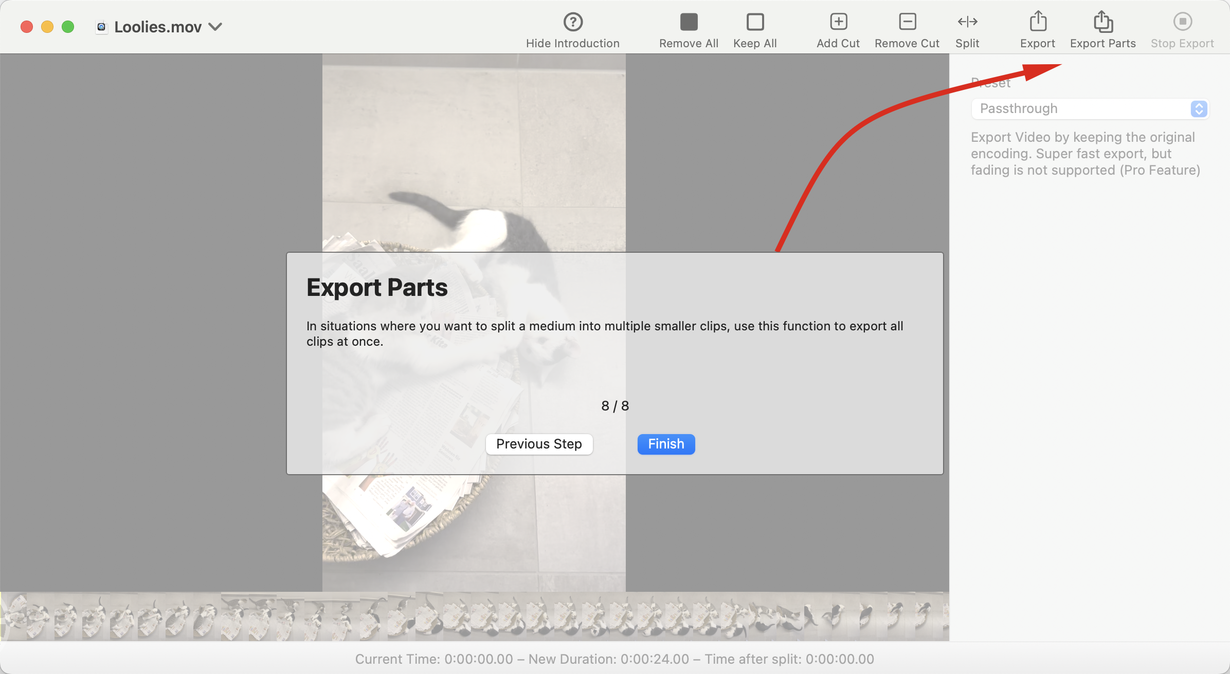 Export Parts Operation
